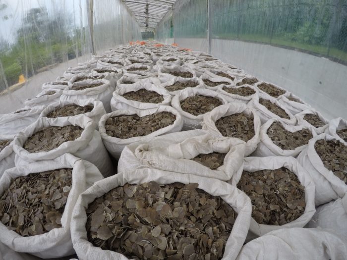 ©National Parks Board of Singapore-12.7 tonnes of pangolin scales were seized on 8 Apr 2019 in Singapore